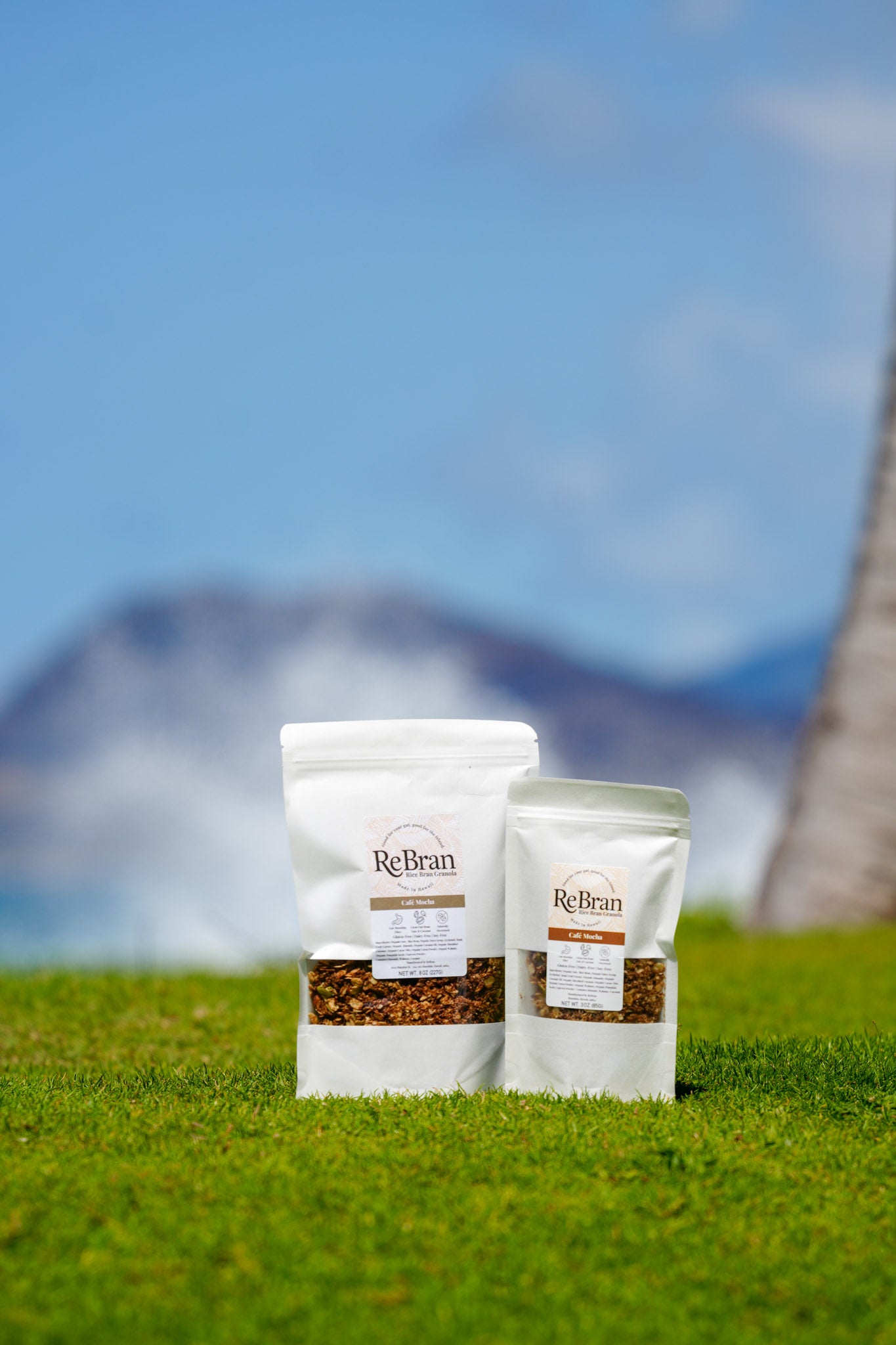 ReBran Granola - Cafe Mocha